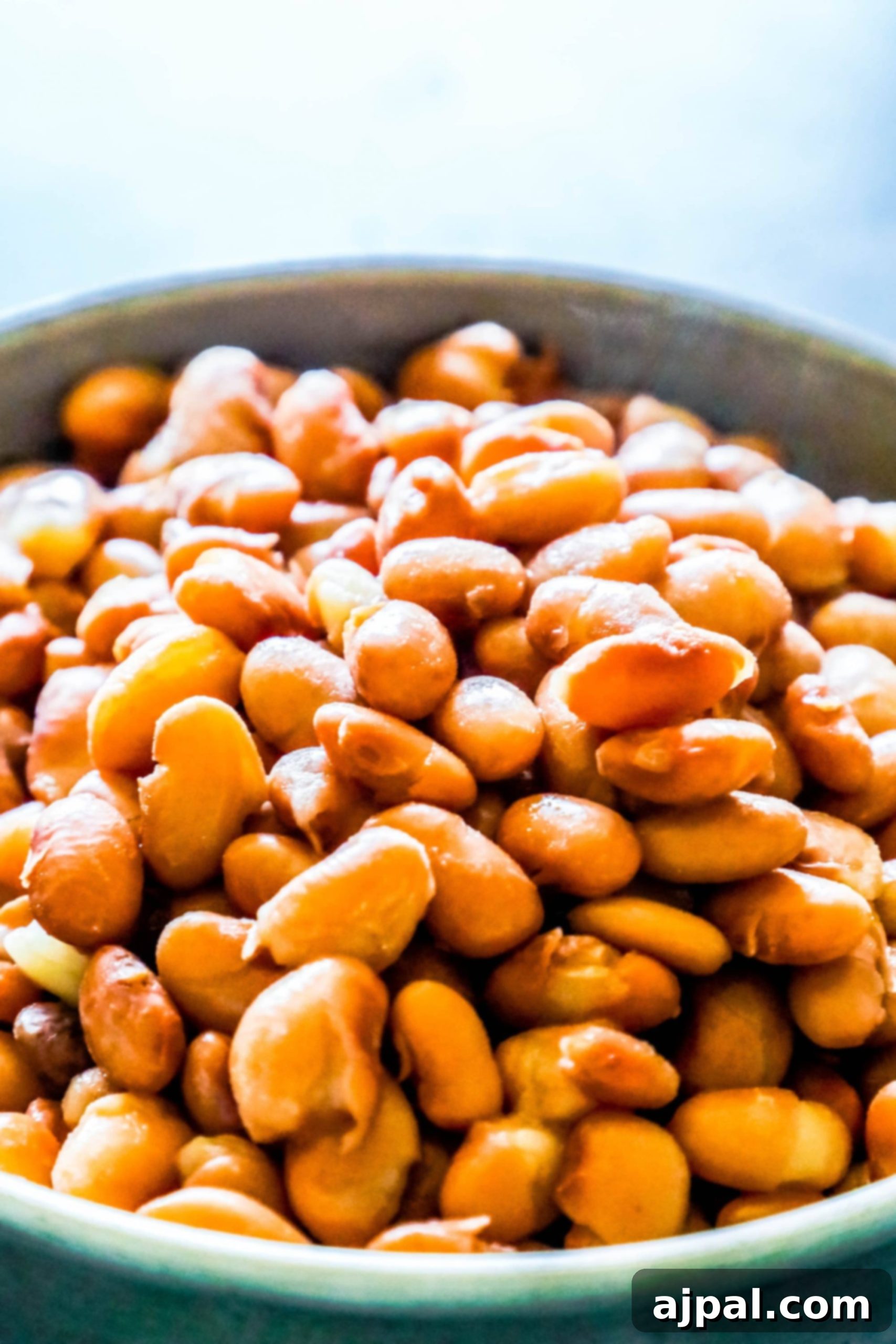 A vibrant bowl of restaurant-style pinto beans, rich in color and perfectly cooked, garnished with fresh cilantro.