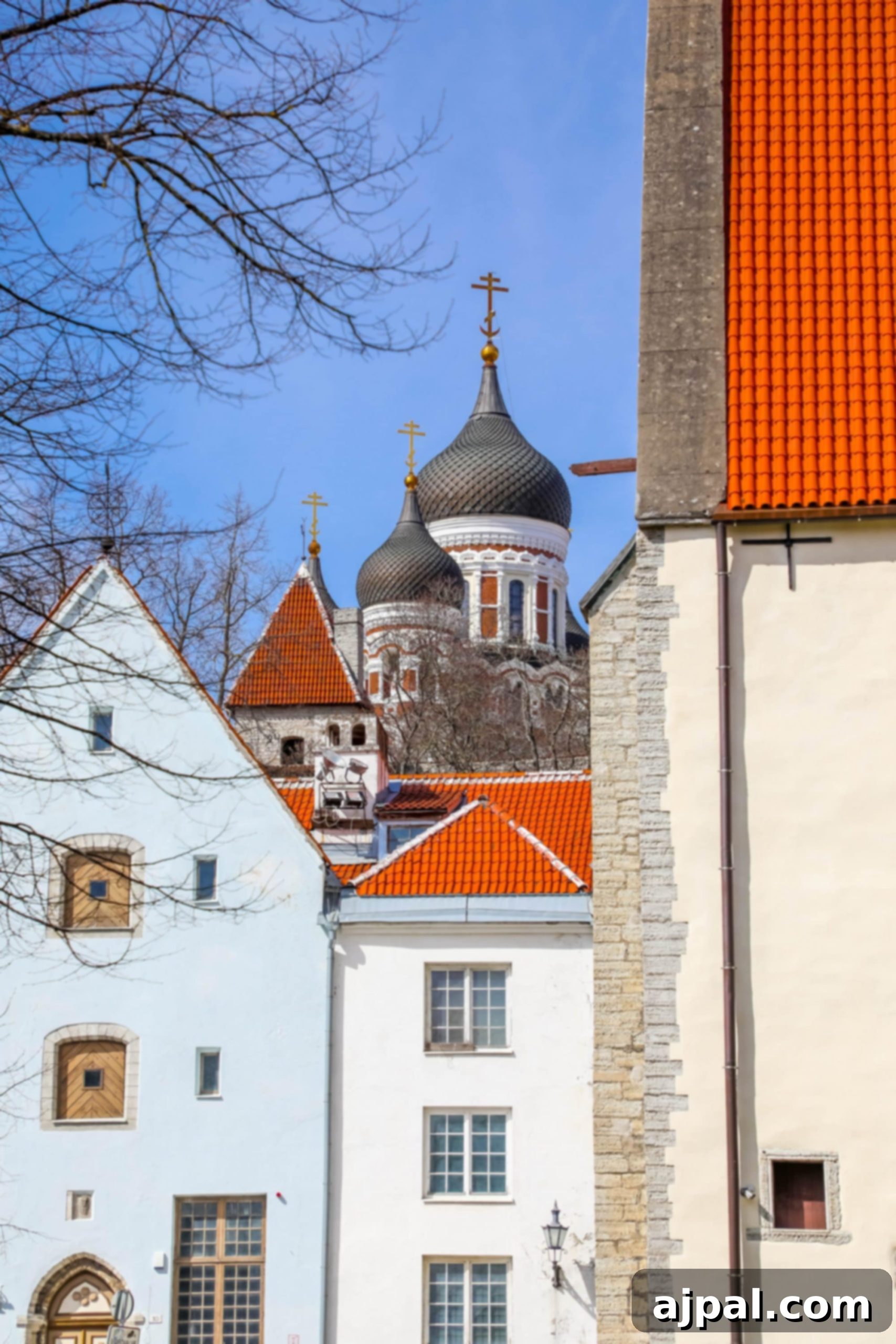 A striking red-roofed cathedral, likely part of Tallinn's historic landscape, captured against a clear sky.
