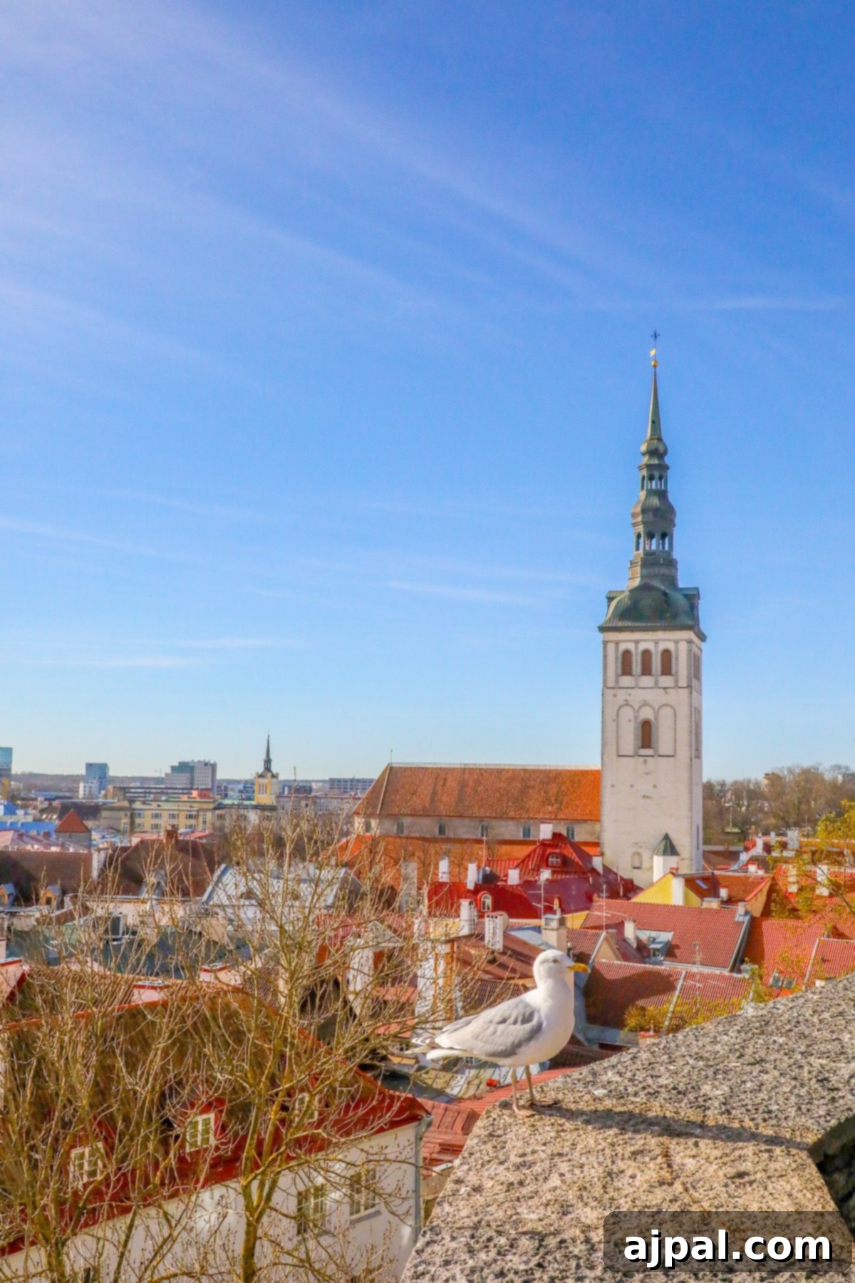 Steven the Seagull, Tallinn's friendly mascot, perched calmly on a ledge on Toompea Hill, overlooking the city under a clear blue sky.