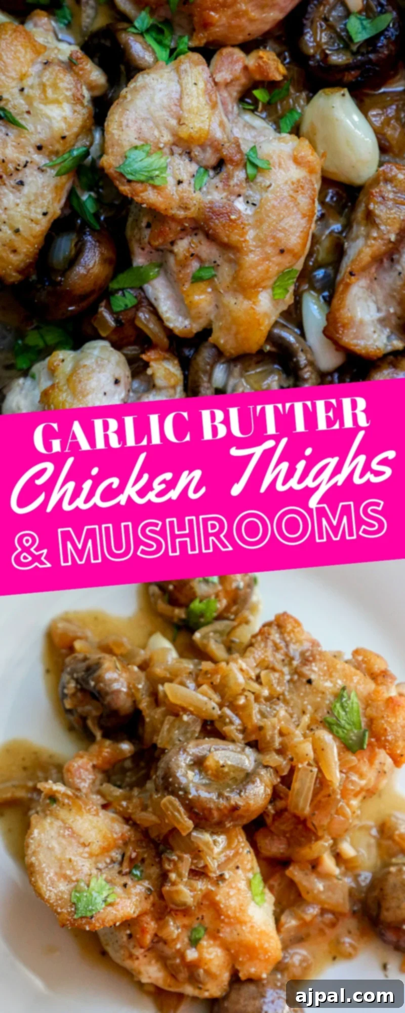 Quick One Pot Garlic Butter Chicken Thighs and Mushrooms 8 A final presentation of one-pot garlic butter chicken thighs and mushrooms, beautifully arranged and ready to be served.