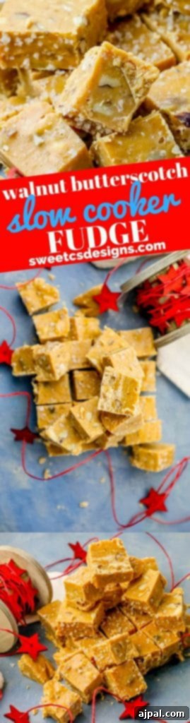 Ultimate Slow Cooker Walnut Butterscotch Fudge 9 A delectable piece of easy crockpot fudge served on a pristine white plate, showcasing its appealing texture and readiness to be savored.