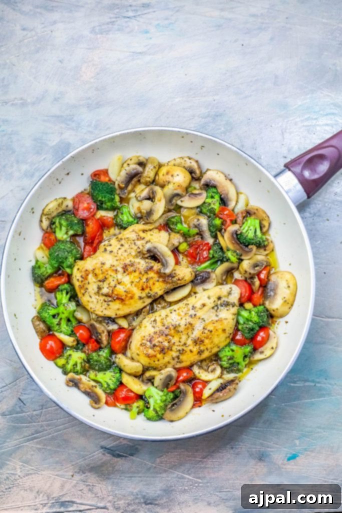 One-Pot Italian Chicken and Veggie Skillet 3 Close-up of golden-brown chicken and colorful vegetables, including broccoli, tomatoes, and mushrooms, simmering in a rich sauce within a rustic skillet.