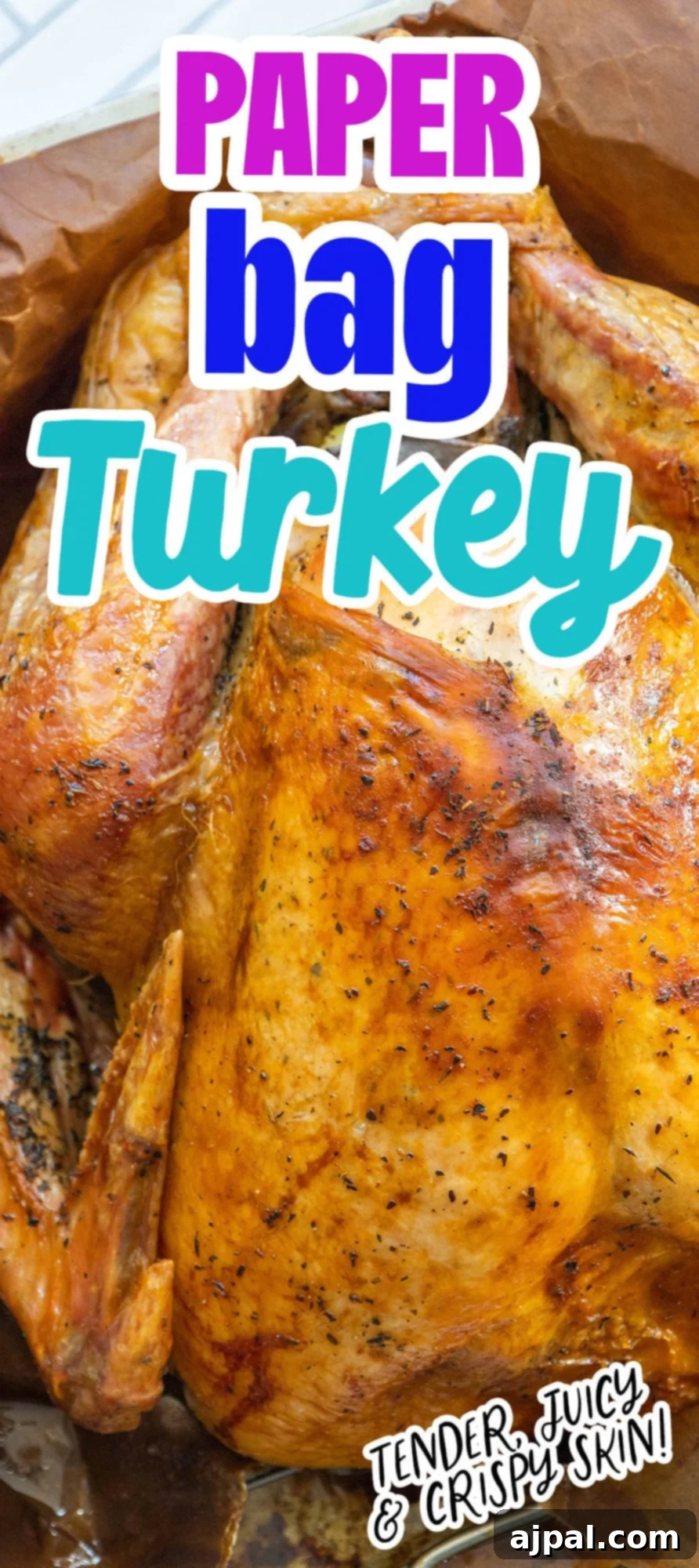 Flavorful Herb Roasted Turkey in a Bag 13 picture of a roasted turkey in a brown paper bag in a roasting pan