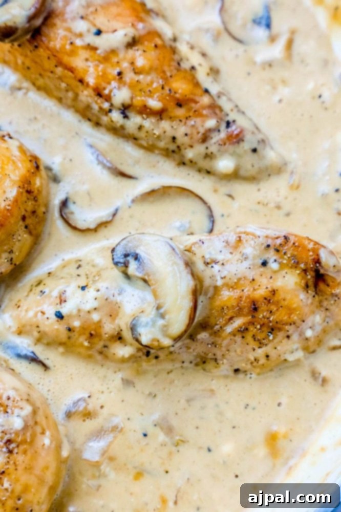 20 minute mushroom chicken stroganoff.