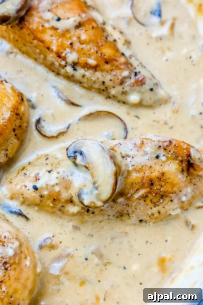 One-Pot Wonder: Creamy Chicken Stroganoff 2 Delicious 20-minute creamy chicken and mushroom stroganoff served in a skillet, ready to eat.