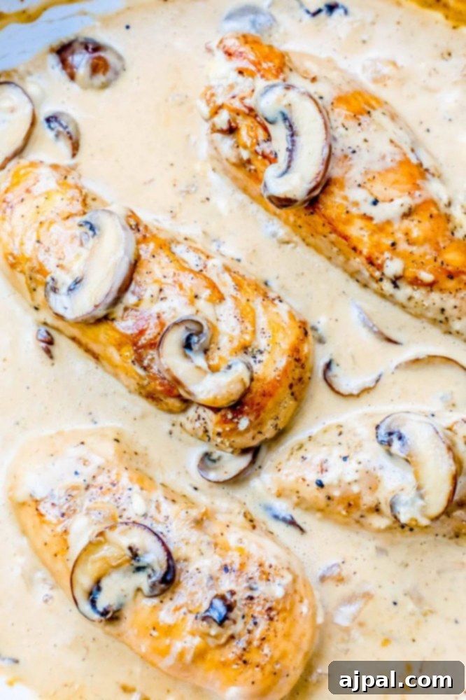 Chicken breasts cooked in a creamy mushroom sauce.