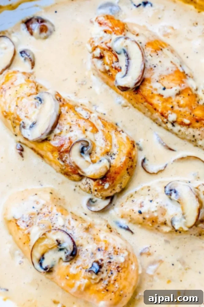One-Pot Wonder: Creamy Chicken Stroganoff 4 Tender chicken breasts simmered in a rich, creamy mushroom sauce, served directly from the pan.