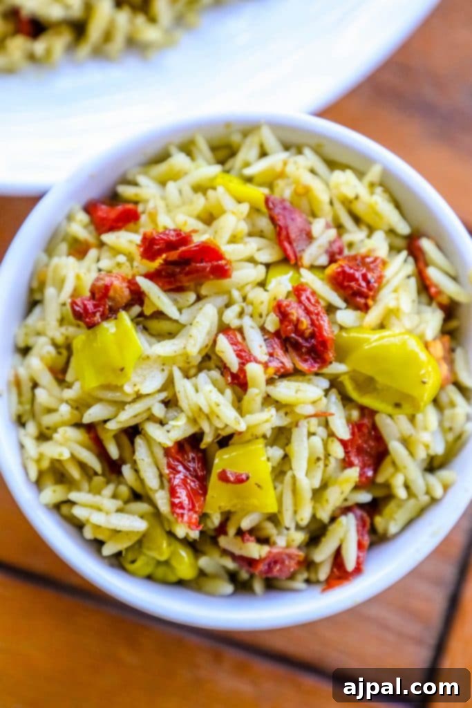 Sun-Dried Tomato and Basil Pesto Orzo 2 A vibrant bowl of orzo pasta salad, featuring sun-dried tomatoes, fresh basil pesto, and yellow bell peppers, ready to be served.