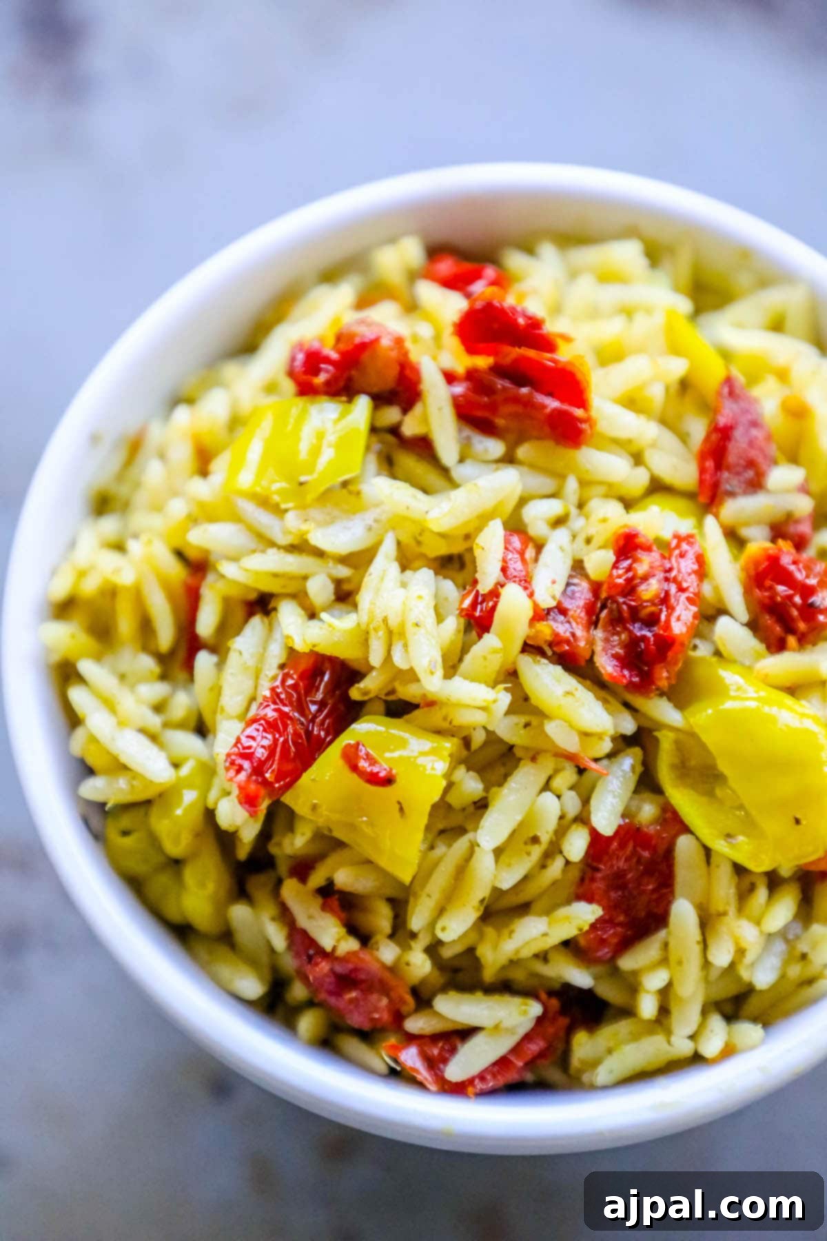 Sun-Dried Tomato and Basil Pesto Orzo 3 A beautifully presented white bowl overflowing with Orzo with Sun Dried Tomatoes and Basil Pesto, garnished with fresh basil leaves.