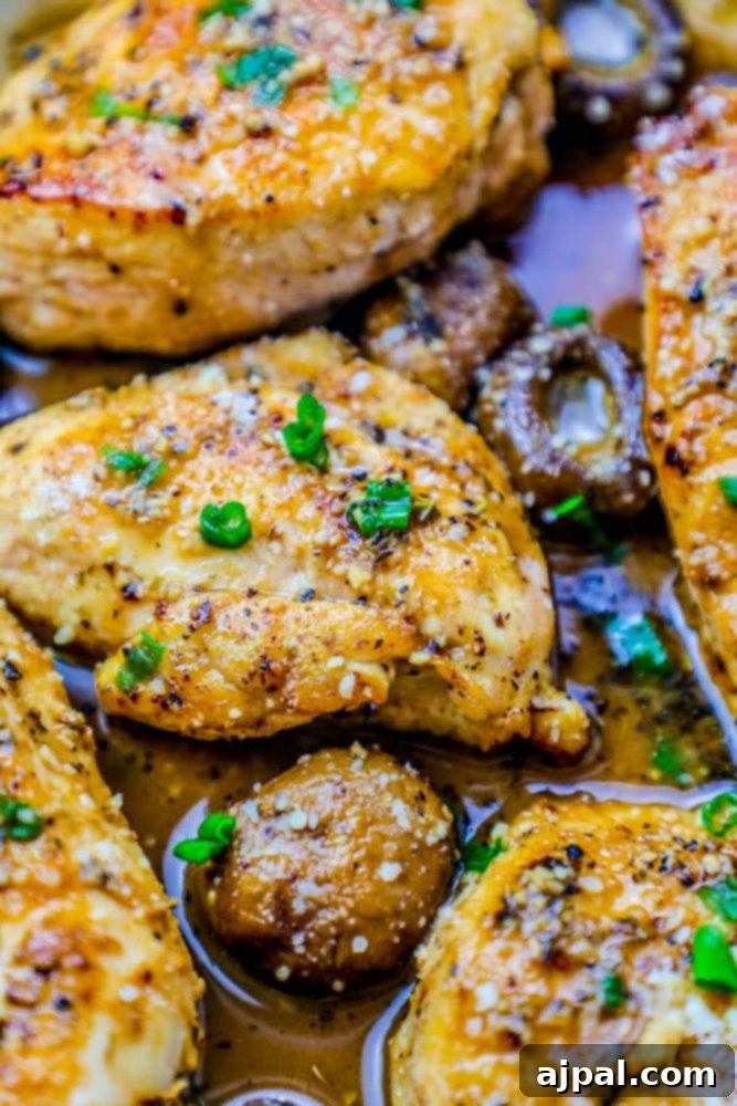 Pan-Seared Garlic Parmesan Chicken and Mushrooms 2 Succulent chicken breasts and earthy mushrooms bathed in a rich garlic Parmesan sauce, ready to serve.