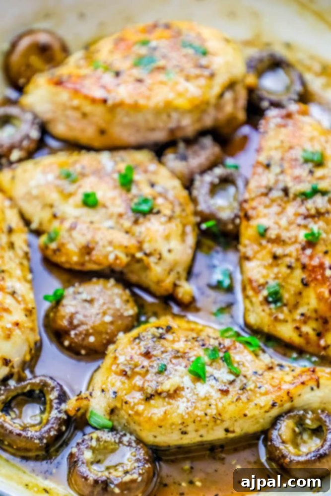 Pan-Seared Garlic Parmesan Chicken and Mushrooms 5 Garlic parmesan chicken breasts and mushrooms in a pan, smothered in creamy sauce and garnished with herbs.