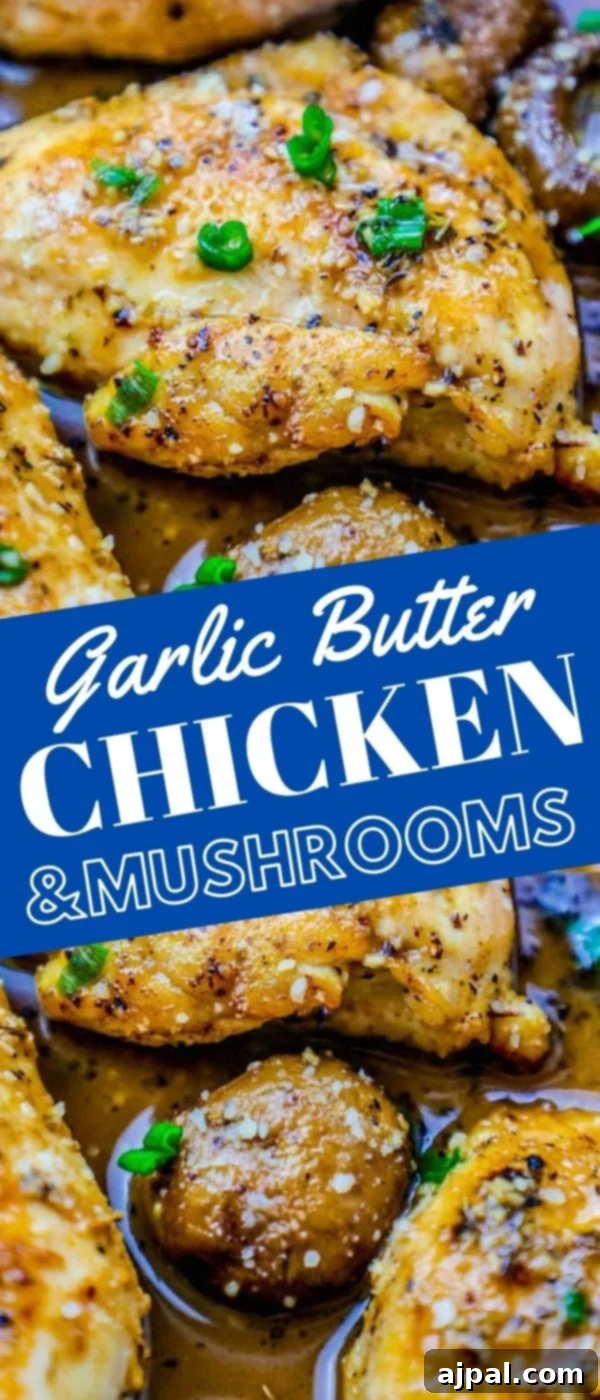 Pan-Seared Garlic Parmesan Chicken and Mushrooms 6 Creamy garlic parmesan chicken and mushrooms dish, perfectly cooked and ready to serve.