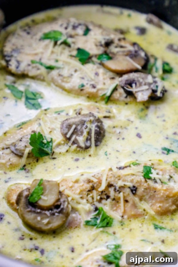 Effortless Slow Cooker Creamy Chicken Marsala 3 Low carb slow cooker creamy chicken Marsala with tender chicken breasts, sautéed mushrooms, and fresh parsley in a rich, savory sauce.