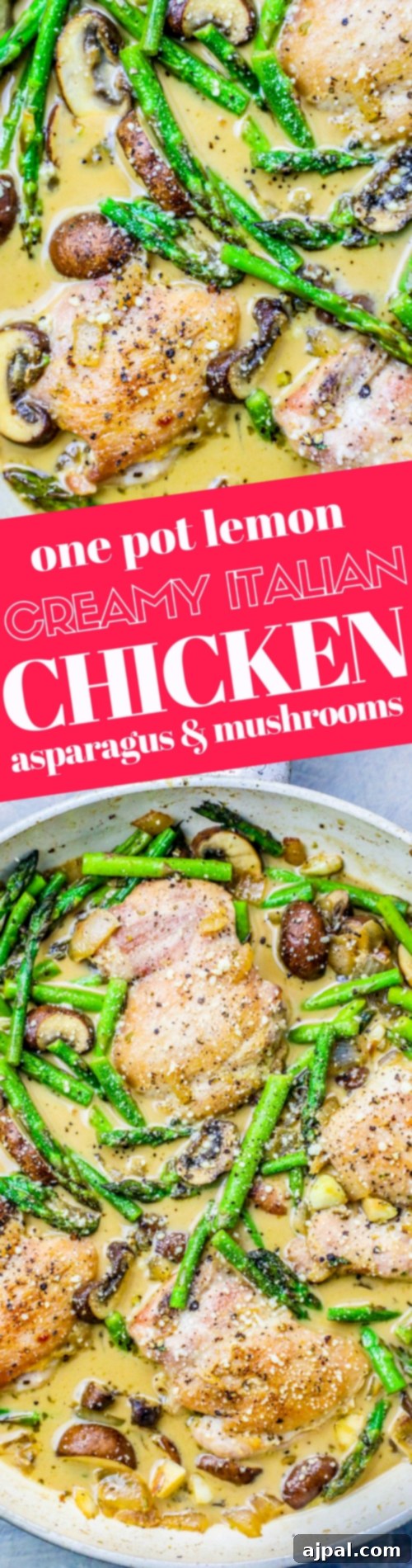 pan with chicken, asparagus, mushrooms, and creamy sauce