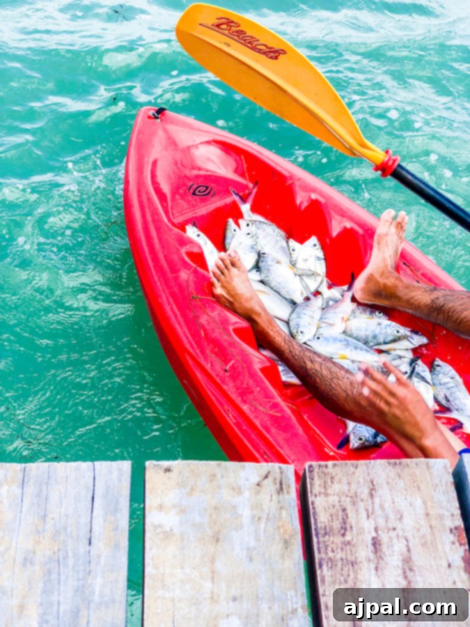 Costa Maya Cruise Guide: Malahual Shore Excursions 10 A kayak filled with fish in Costa Maya, Mexico.