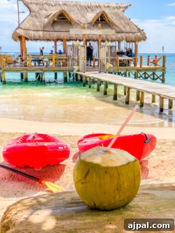 Costa Maya Cruise Guide: Malahual Shore Excursions 8 A coconut sitting on the beach next to a hut in Costa Maya, Mexico.