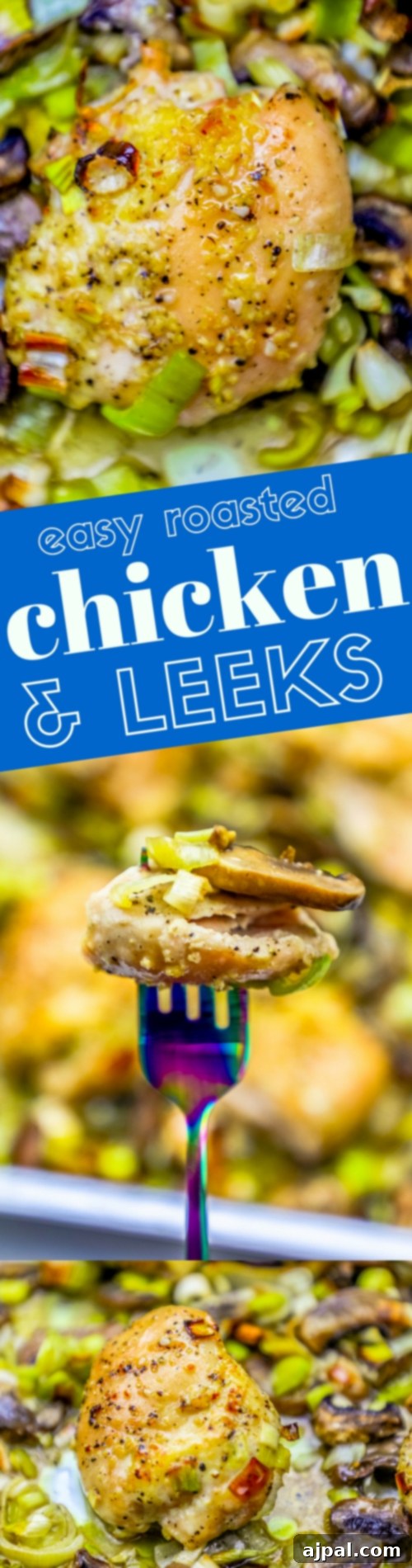 A close-up shot of the finished sheet pan chicken and leeks, emphasizing the tender texture and delicious caramelization.