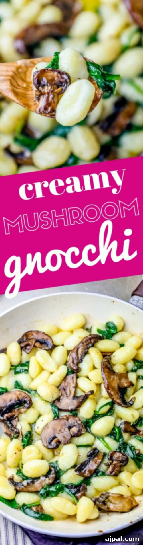 One-pot creamy mushroom gnocchi with sauce.