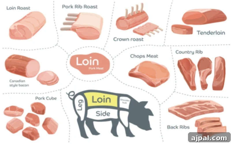 Diagram illustrating the different cuts of pork from a pig, highlighting where various pork chops originate.