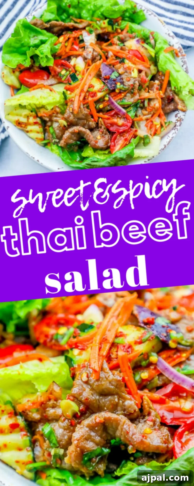 Fiery Thai Beef Salad 6 A vibrant and appealing sweet and spicy Thai beef salad, ready to be enjoyed, showcasing the colorful ingredients.