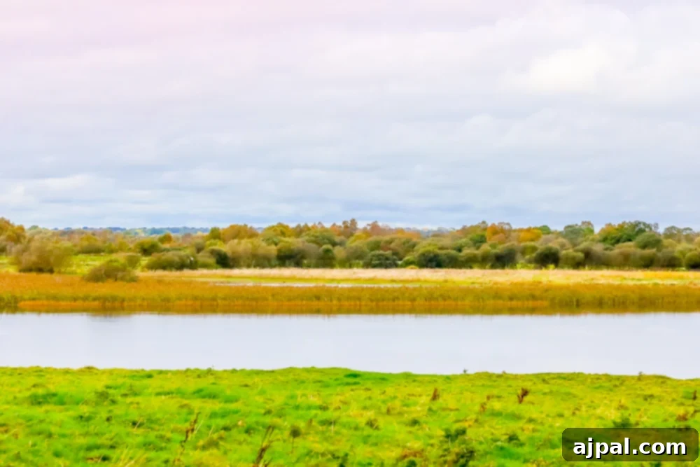 A green field with a lake in the background in Ireland’s Midlands.