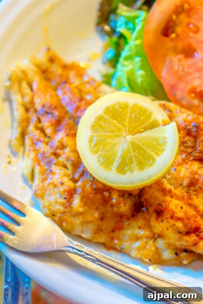 Savor Sanibel: A Culinary Journey 24 A dinner plate with fish, salad, and a fork is a must-try food in Sanibel Island, Florida.