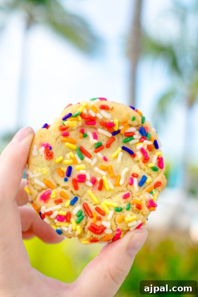Savor Sanibel: A Culinary Journey 6 A delicious cookie with colorful sprinkles, perfect for dessert on Sanibel Island.