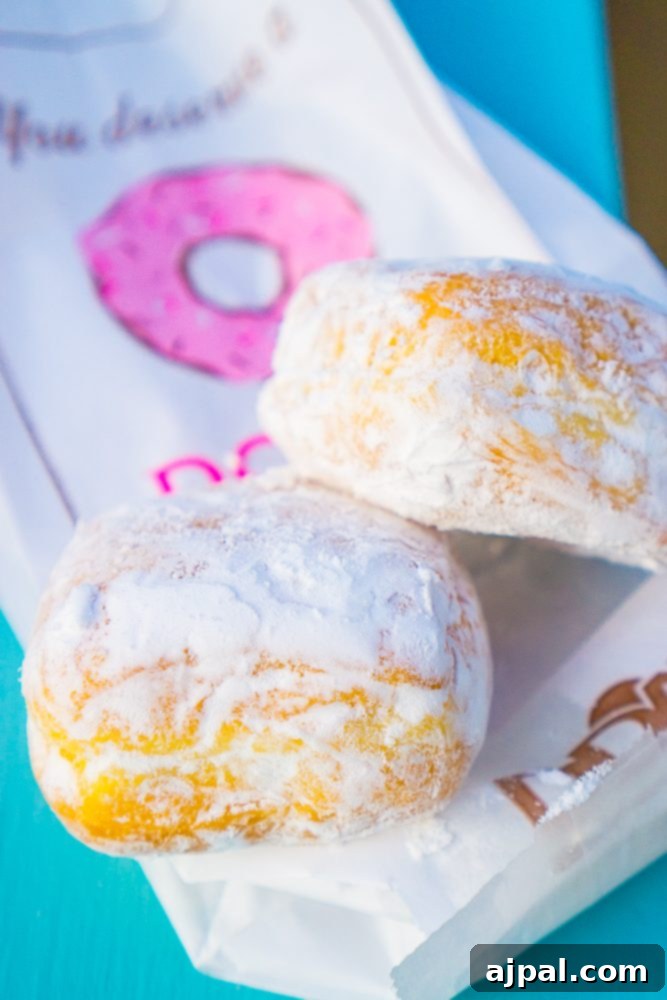 Savor Sanibel: A Culinary Journey 7 Two powdered sugar donuts on a bag, a delicious dessert in Sanibel.