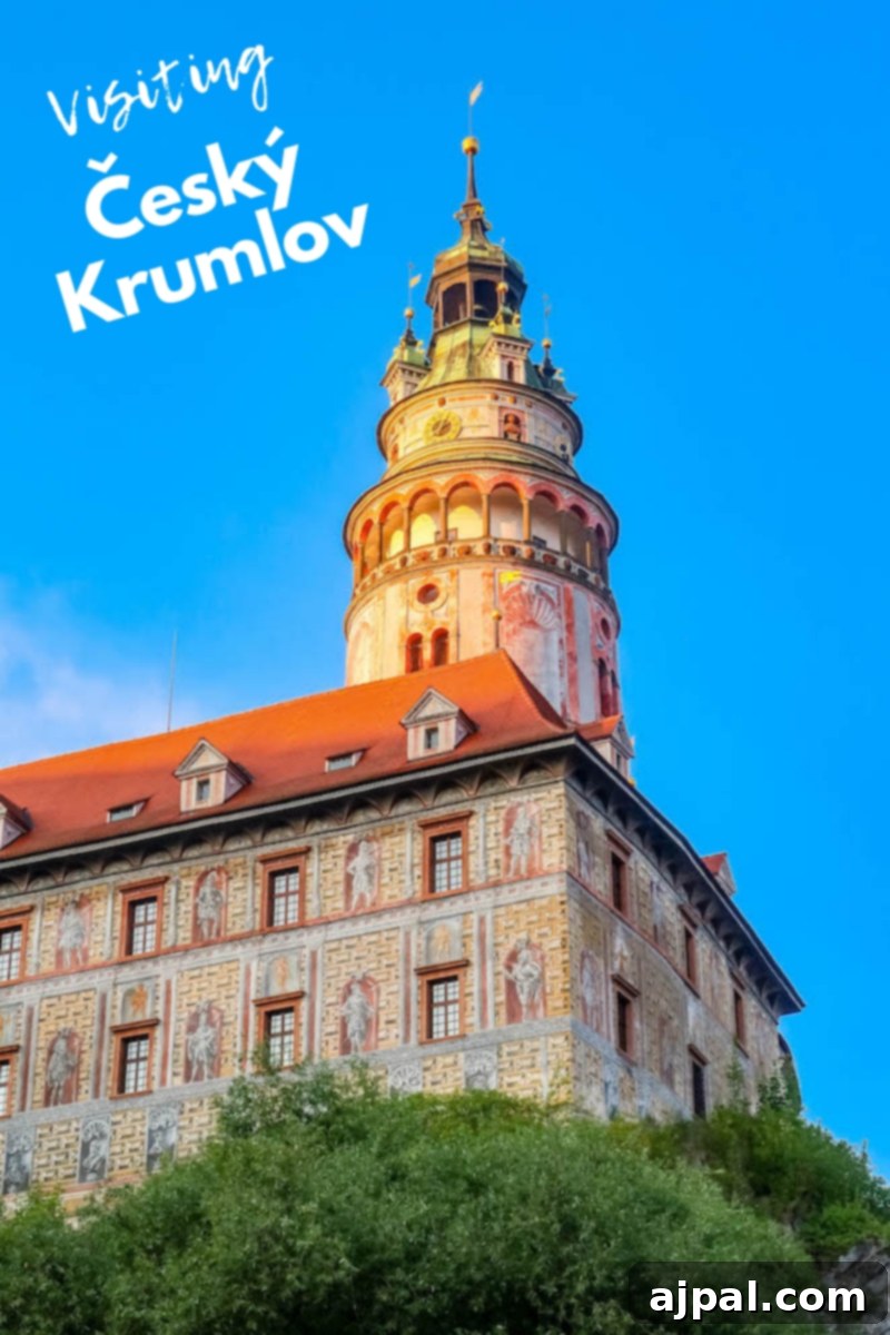 A vibrant collage depicting various charming scenes and activities in Cesky Krumlov, Czechia, including the castle, river, and historic streets.