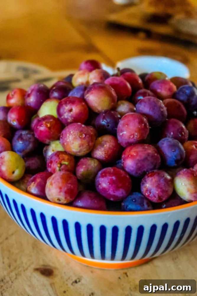 Fresh grapes and plums arranged artfully on a table, part of a delightful local Irish spread.