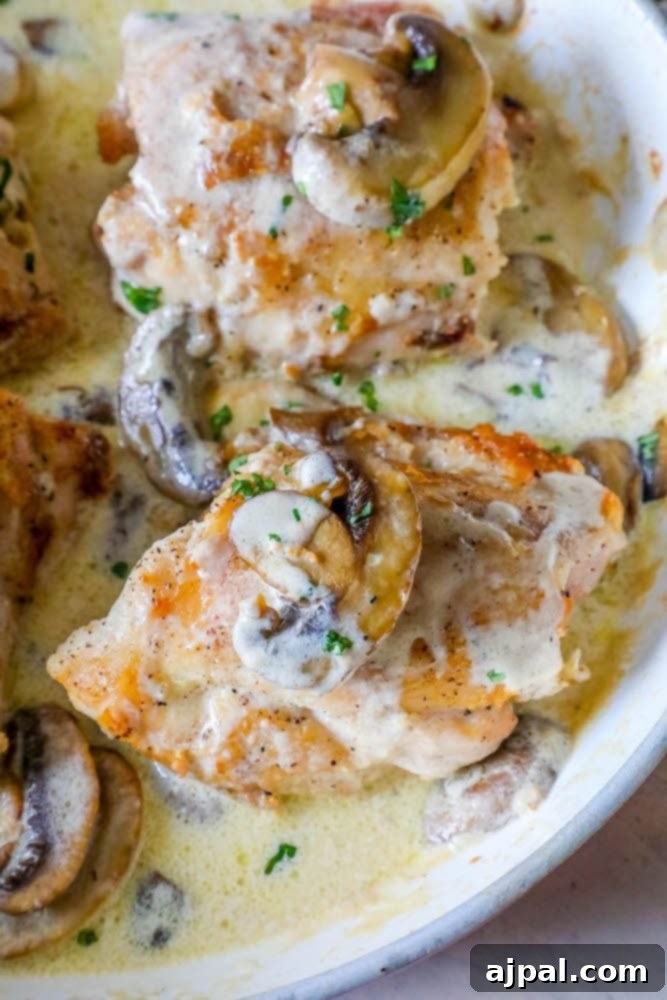 Velvety Garlic Chicken and Mushrooms 3 Creamy chicken with savory mushrooms simmering in a skillet.