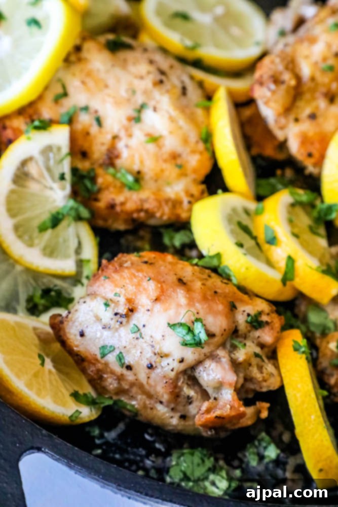 Zesty Lemon Chicken Perfection 3 chicken thighs in a pan with sliced lemons and cilantro