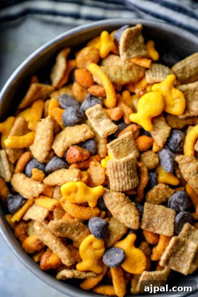 A vibrant mix of goldfish crackers, graham crackers, chocolate chips, sesame sticks, and spicy trail mix nestled in a gleaming metal bowl.