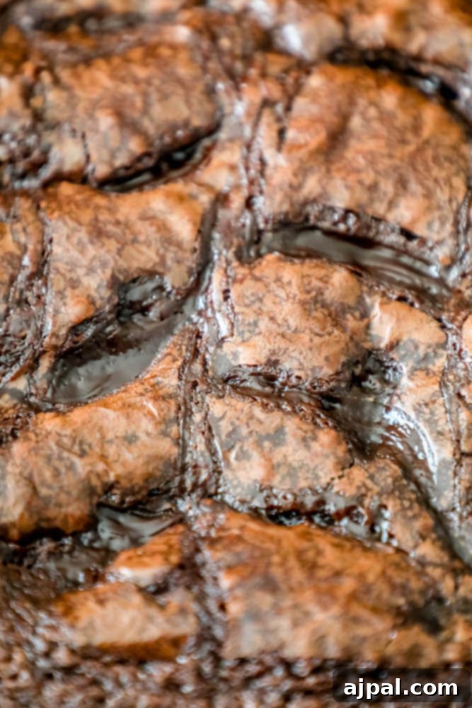 A close-up shot of the best fudge brownies on a plate, highlighting the rich, gooey fudge that melts into the chocolatey interior.
