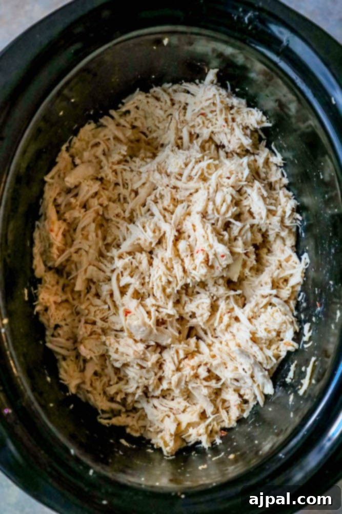 Close-up of succulent slow cooker shredded chicken ready to be served.