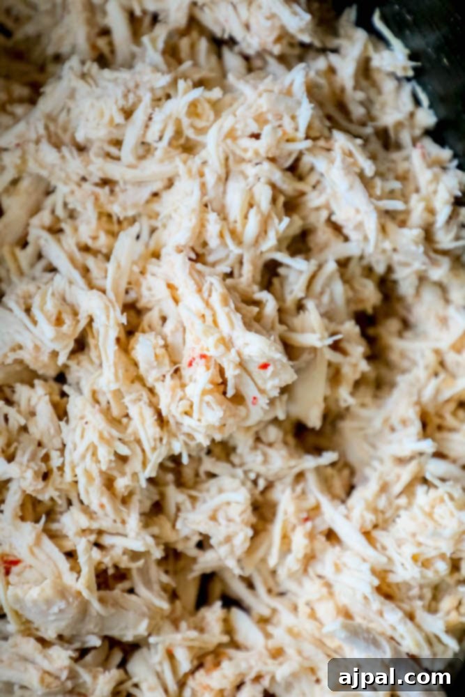 A close-up view of perfectly shredded chicken, moist and ready for various dishes.