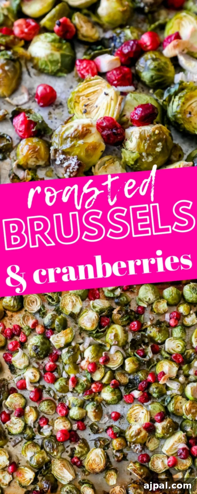 A vertical shot of a large serving of roasted Brussels sprouts with cranberries, showcasing the vibrant colors and appealing textures of the dish.