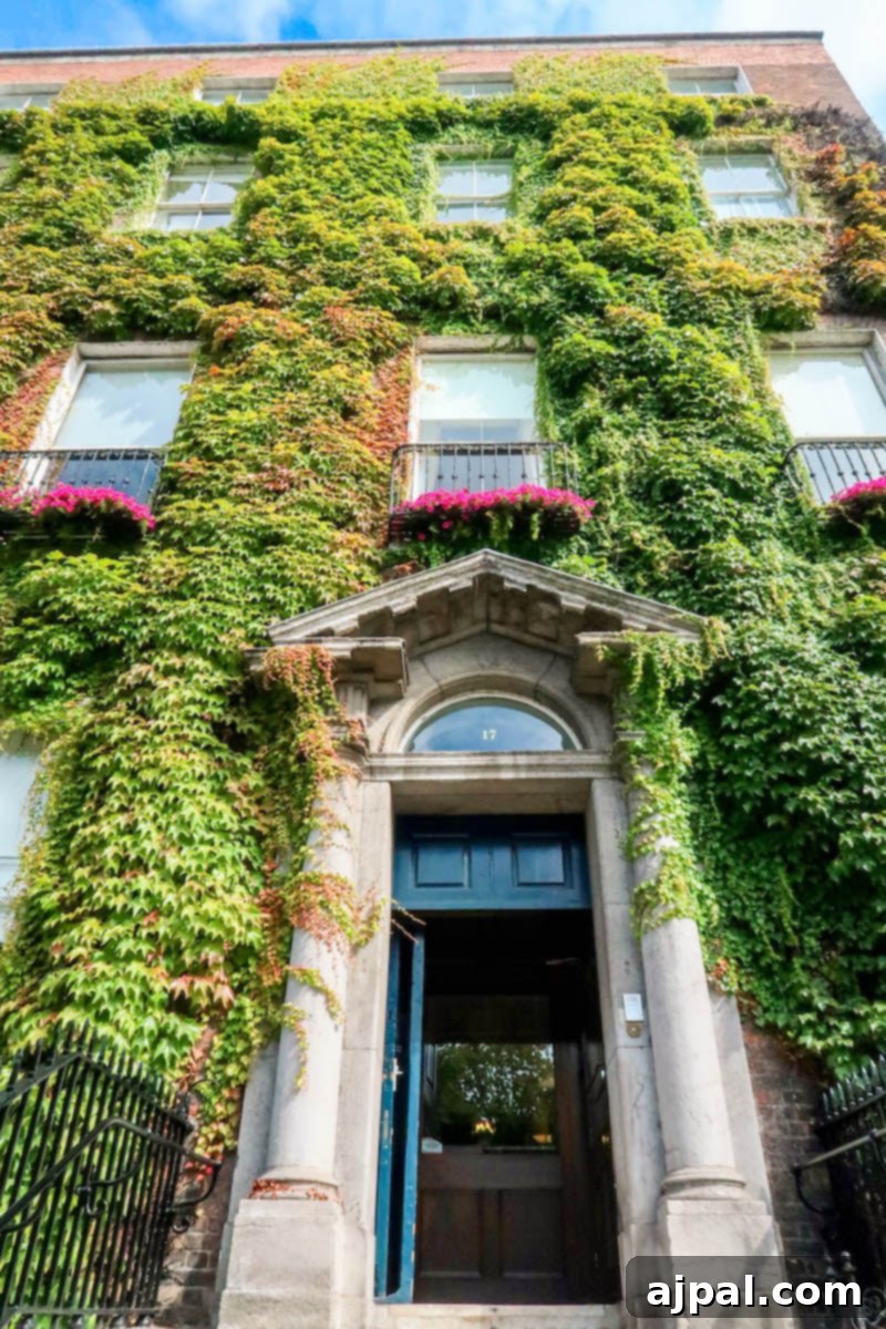 A historic hotel building completely covered in vibrant green ivy in Dublin, Ireland
