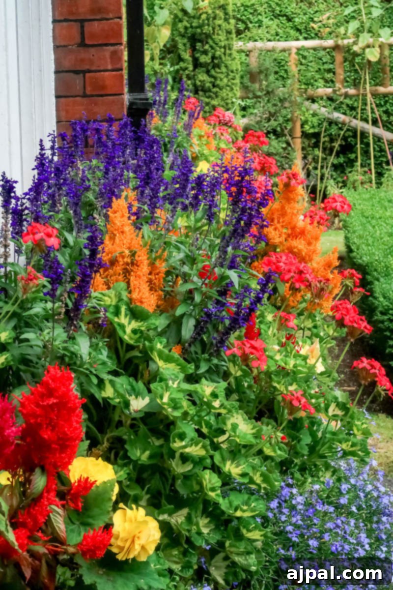 A vibrant flower bed in front of a classic Dublin house near St. Stephen's Green