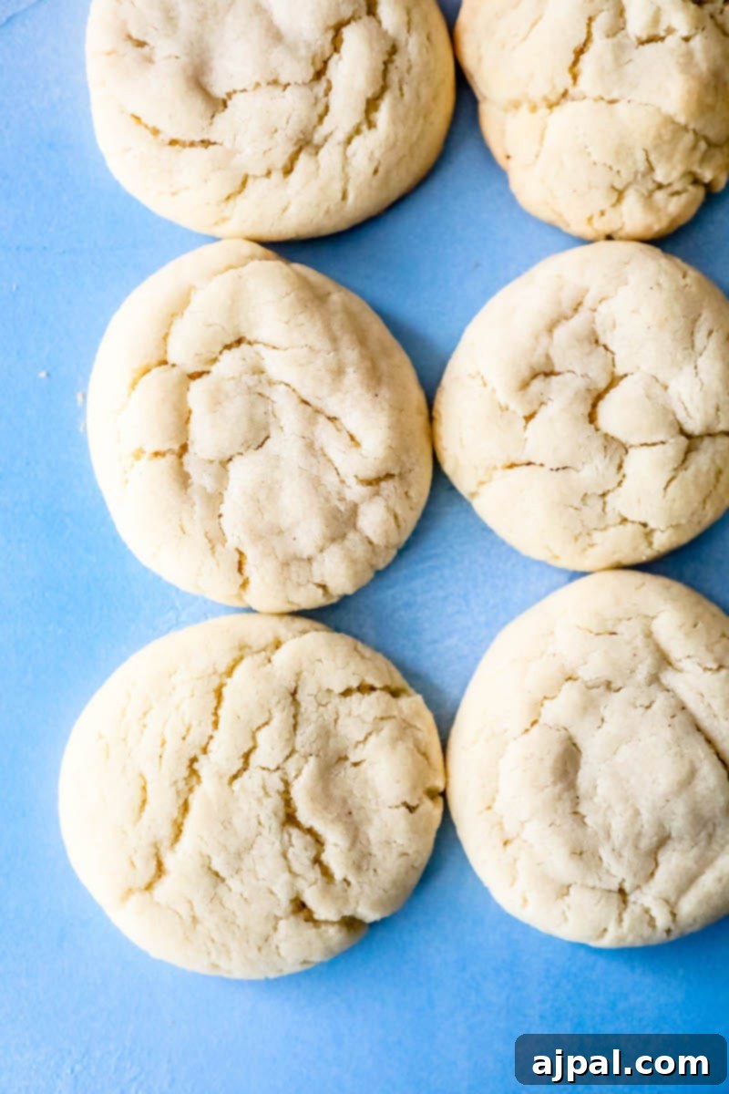 Seriously The Best Easy Chewy Sugar Cookies 8 A delightful arrangement of soft sugar cookies on a serene blue surface, showcasing their inviting texture and shape.