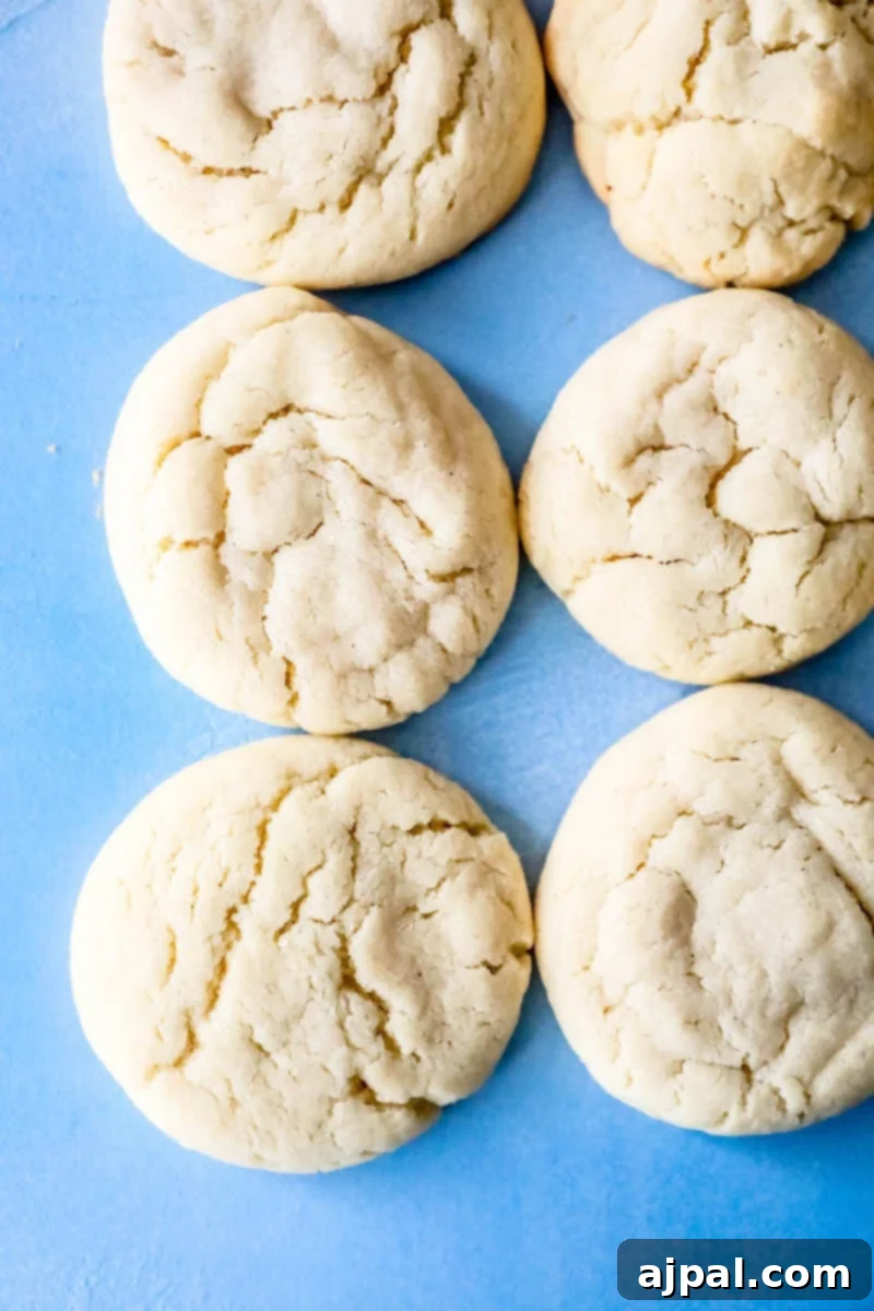 Unforgettable Chewy Sugar Cookies Easy Recipe 8 A collection of perfectly soft sugar cookies arranged on a vibrant blue surface, highlighting their inviting texture.