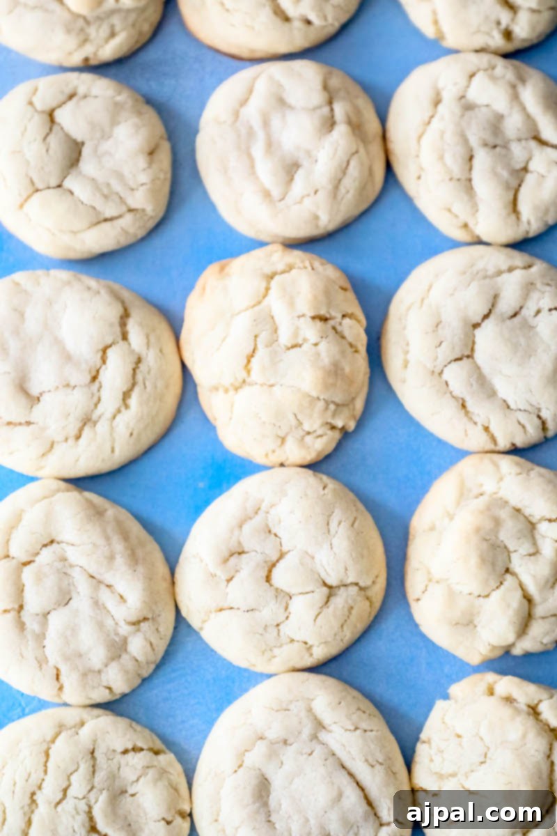 Seriously The Best Easy Chewy Sugar Cookies 5 Delicious easy sugar cookies neatly arranged on a blue baking sheet, highlighting their golden-brown edges and soft centers.