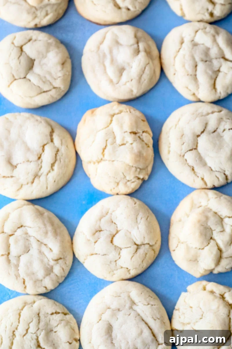 Unforgettable Chewy Sugar Cookies Easy Recipe 5 Freshly baked soft sugar cookies arranged on a blue baking sheet.