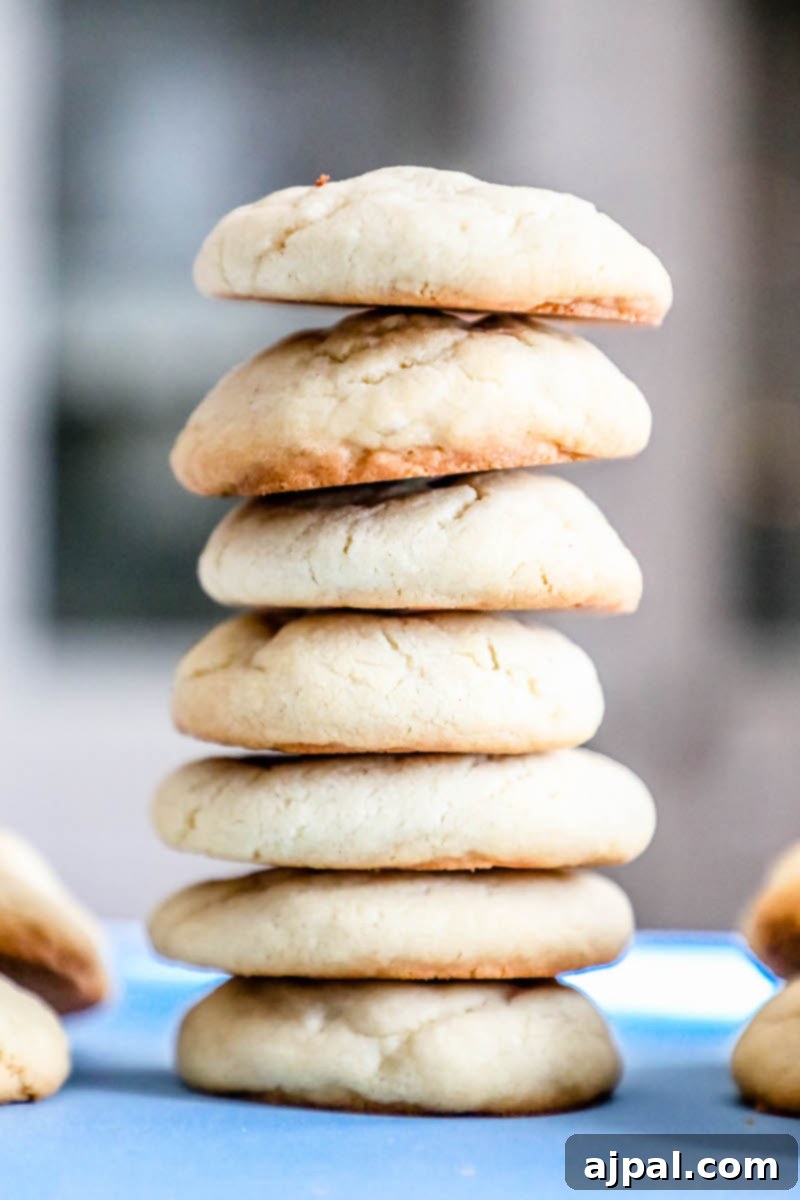 Seriously The Best Easy Chewy Sugar Cookies 7 A delightful stack of soft sugar cookies artfully arranged on a blue plate, ready to be enjoyed as a sweet treat.