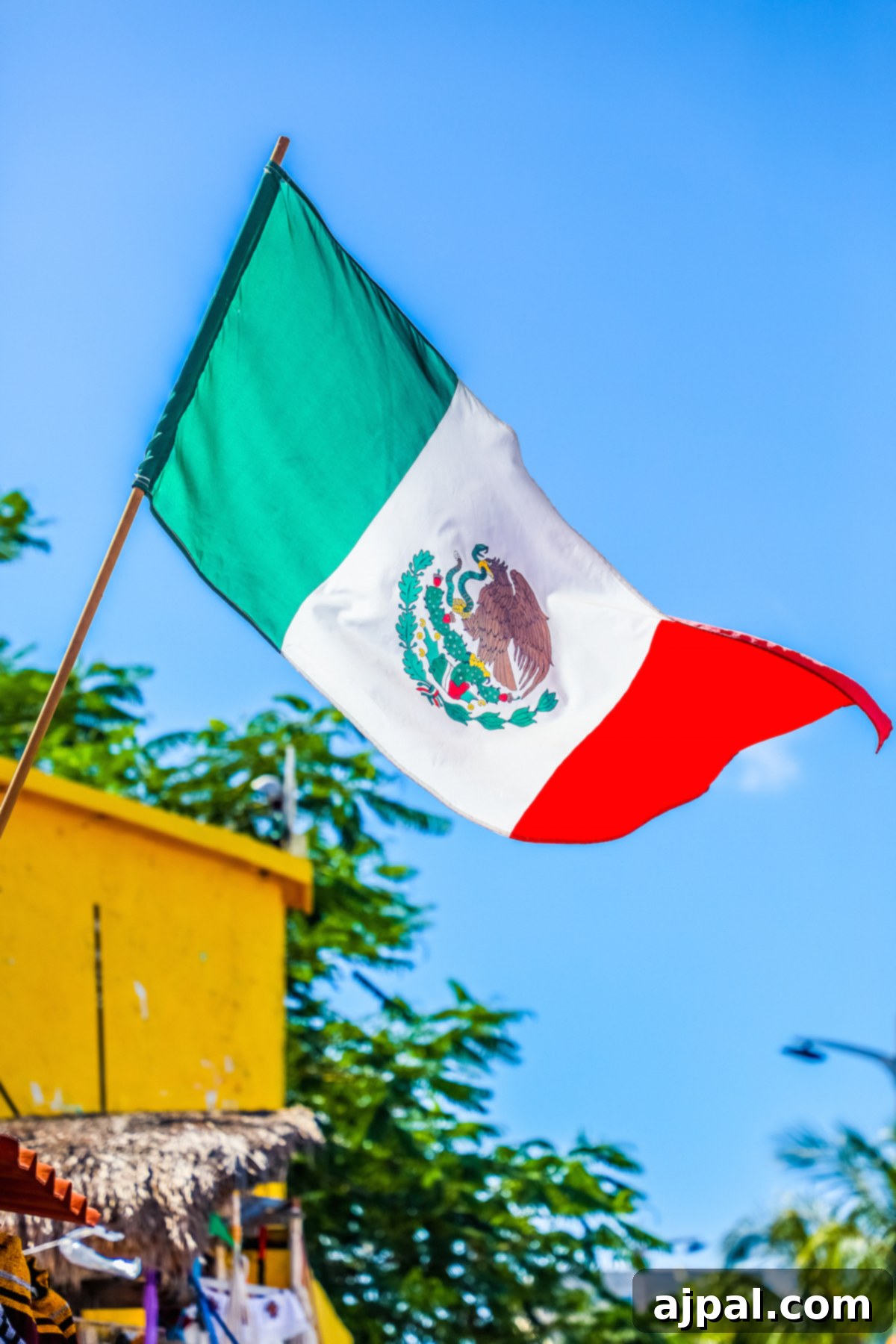 West Coast Majesty: A Royal Princess Voyage 17 A mexican flag is fluttering in the wind at Cozumel Mexico Cruise Port.