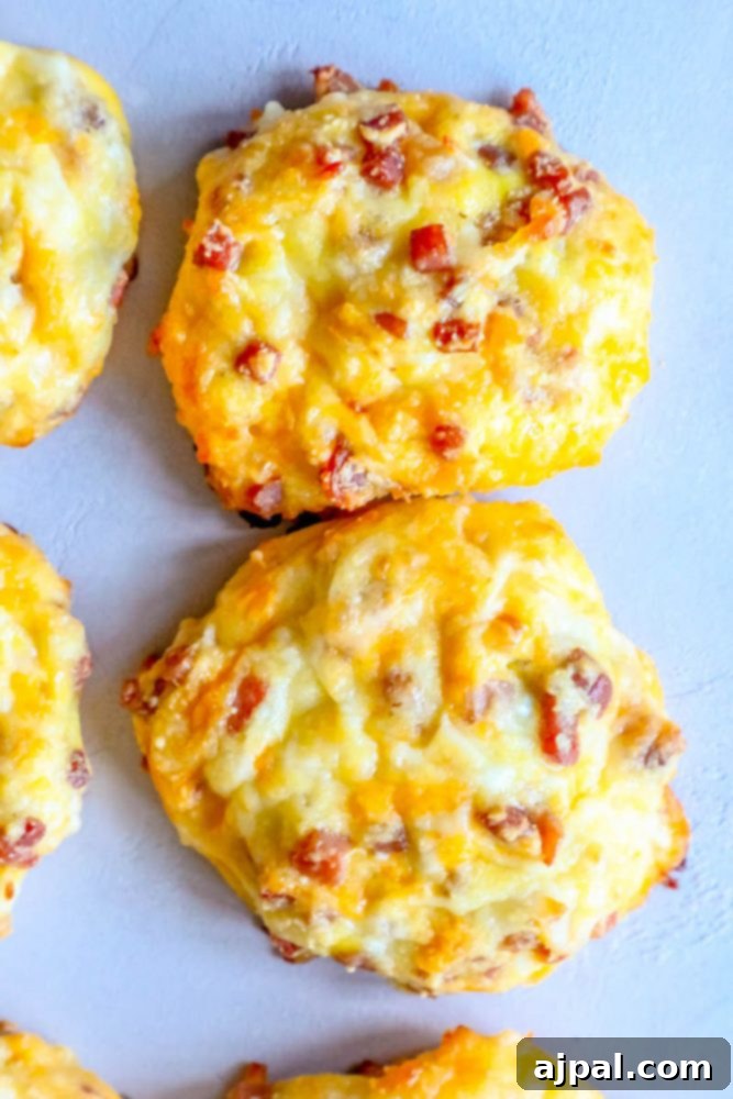Closeup picture of low carb ham and cheese rolls