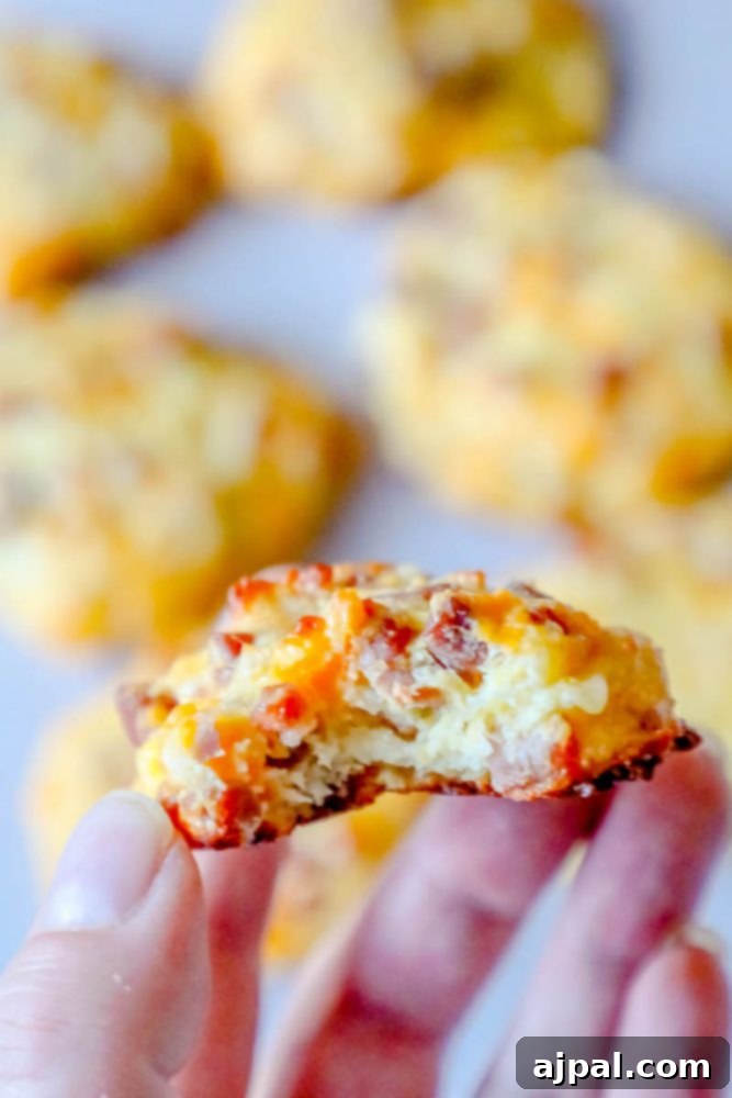 Picture of a baked keto ham and cheese roll with a bit taken out of it.
