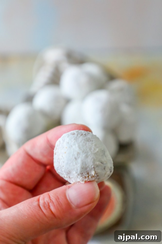 Effortless Powdered Doughnut Delights 4 powdered sugar donut hole up close