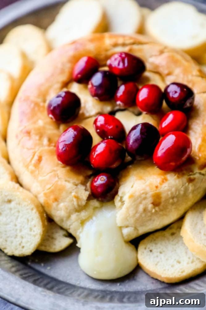 Gooey Cranberry Apricot Brie 2 Golden-baked brie with a vibrant topping of cranberries and apricots, ready to be served.