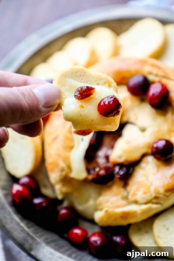 Gooey Cranberry Apricot Brie 7 A delectable piece of melted brie on a piece of bread with cranberries on it, ready for a delicious bite.
